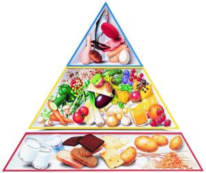 Hvor i kostpyramiden finder jeg MARS-mælk?