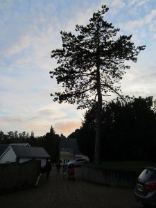 Indkørslen til vores hjem på en varm sommeraften