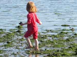 På jagt efter sandorm