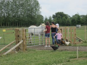 Bondegårdstur med Moster og Cath