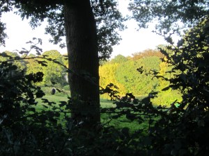 Et kig fra kirken over marker imod vores hus