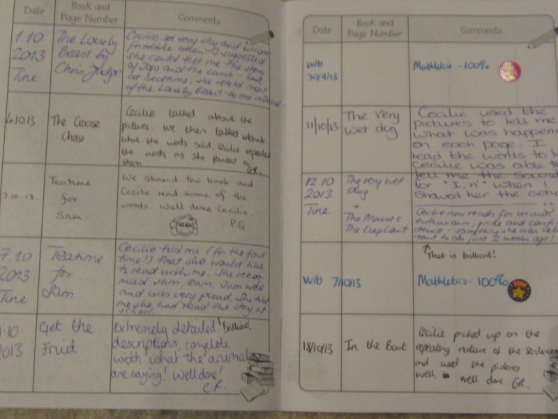 Kommentarer fra lærerne, de frivillige læsehjælpere og os