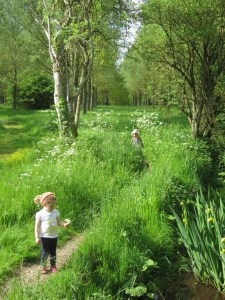 Vidunderlig sommerdag i naturområde tæt på vores hjem