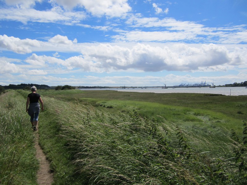 Vandretur langs River Orwell 3