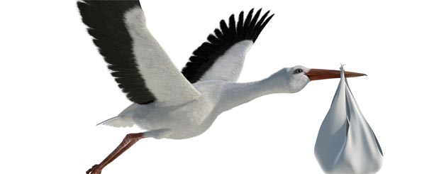 2011 40 Frugtbarhed.ashx