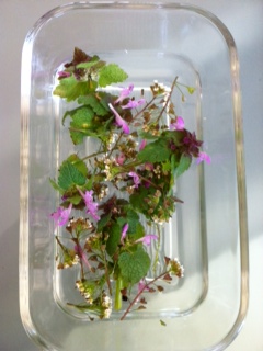 Pigernes buket til mig