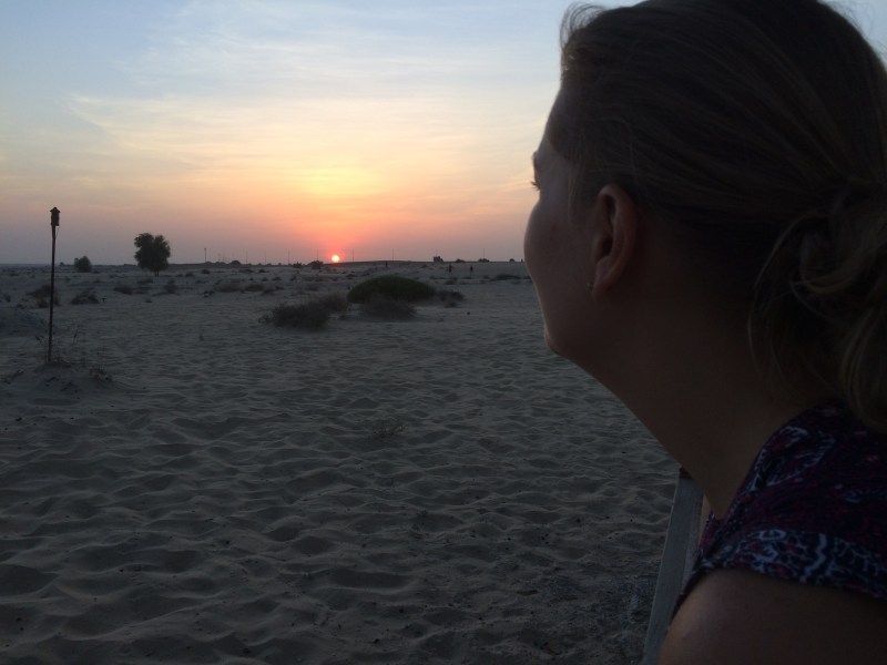 Bab Al Shams m Mormor nov 2015 7