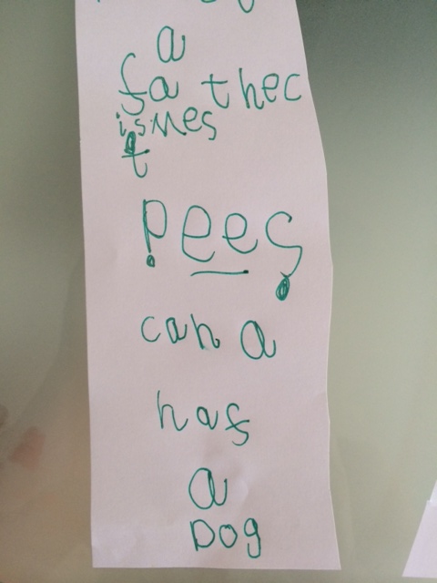 Father Christmas, please can I have a dog