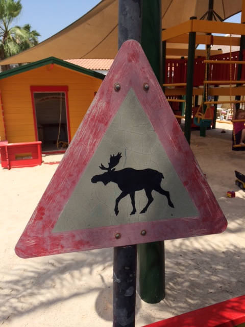 Pas på! Der kommer elg