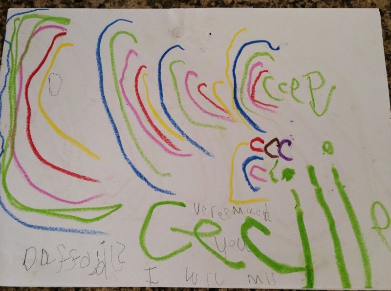 Daffodils I will miss you very much