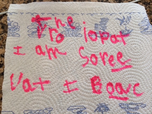 I am sorry that I broke the iPad