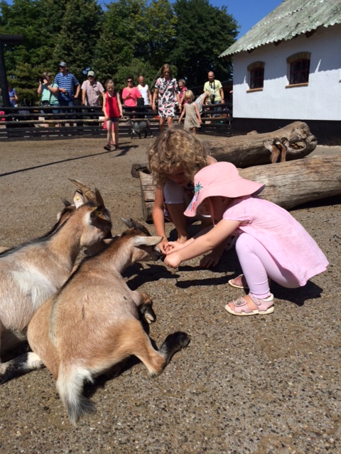 Mille finder en ven at klappe gederne med