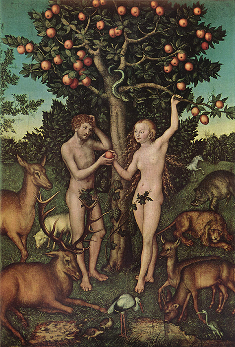 51-Cranach