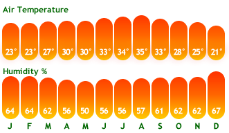 Dubai-temp-chart