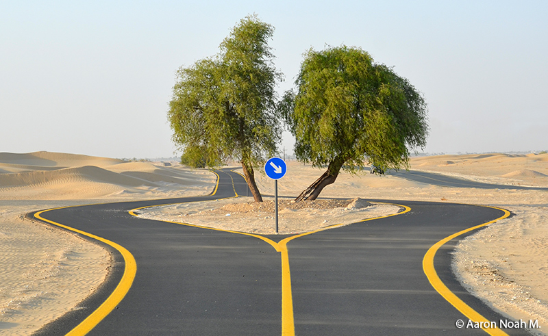 Al_Qudra_Cycle_Path_Main
