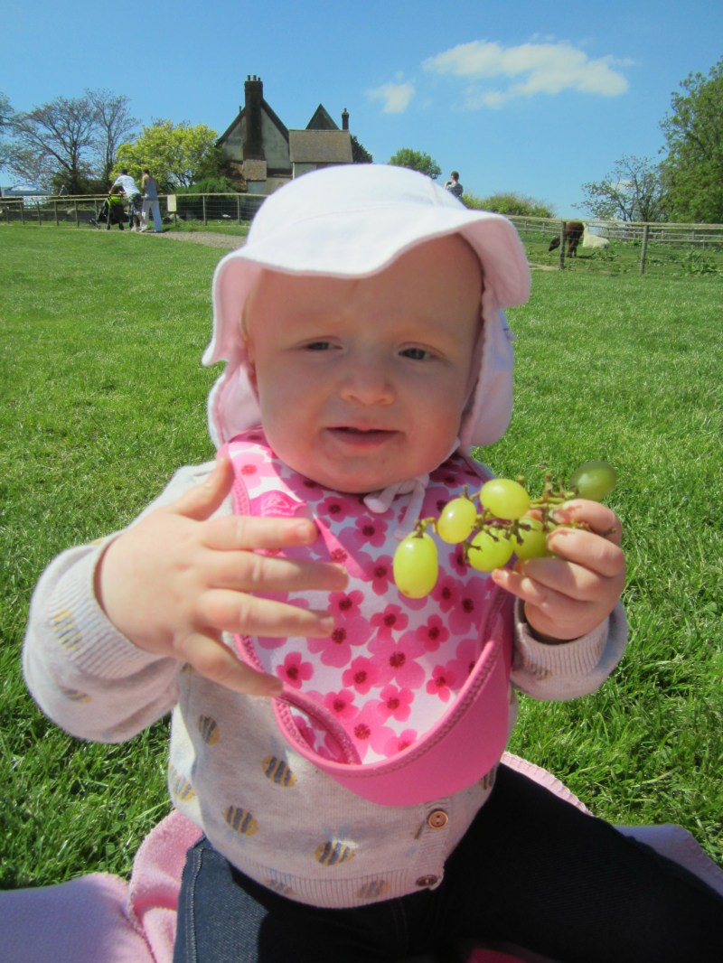 Bank holiday - Jimmys Farm 12